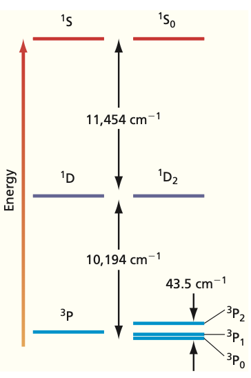 Term and level splitting of carbon