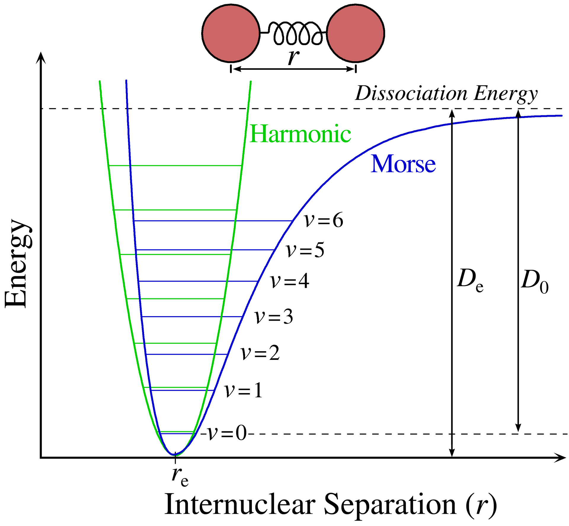 Comparison of Harmonic and Morse Potentials