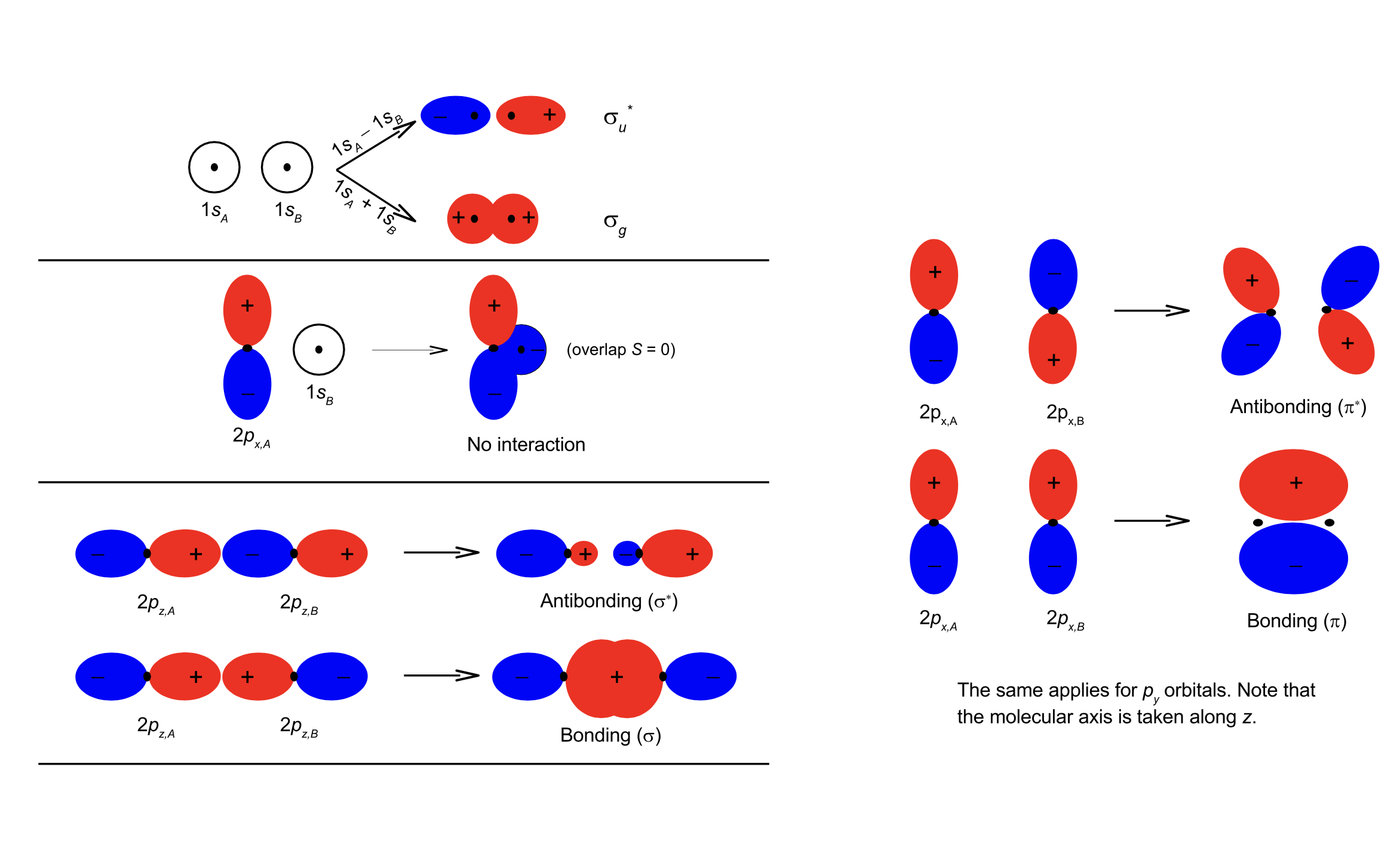Molecular orbitals for homonuclear molecules