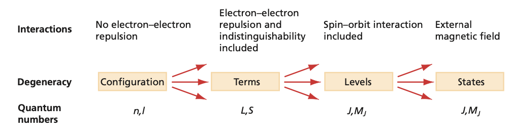 Configurations, terms, levels, states