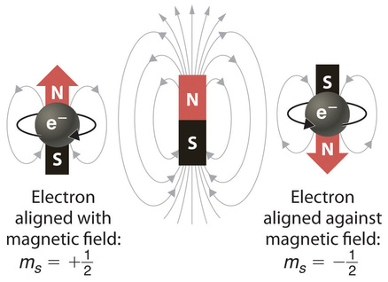 Spin pictured as a tiny magnet