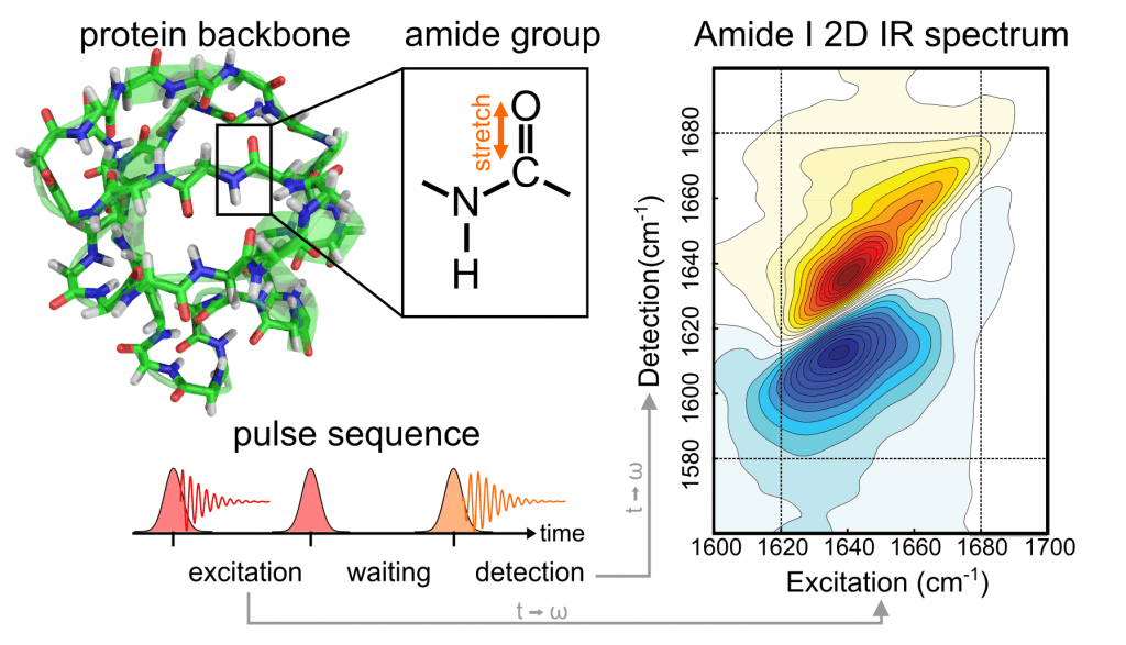 amide-ir