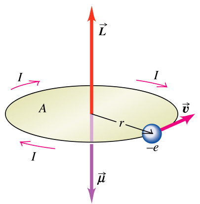 Magnetic moment and angular momentum of an orbiting charge