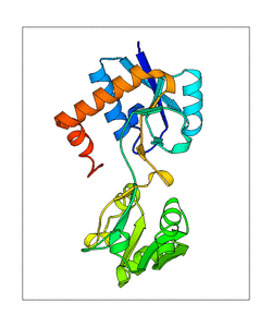 amide-ir