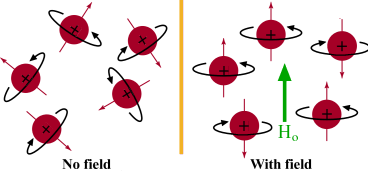 External field orienting atomic magnetic moments