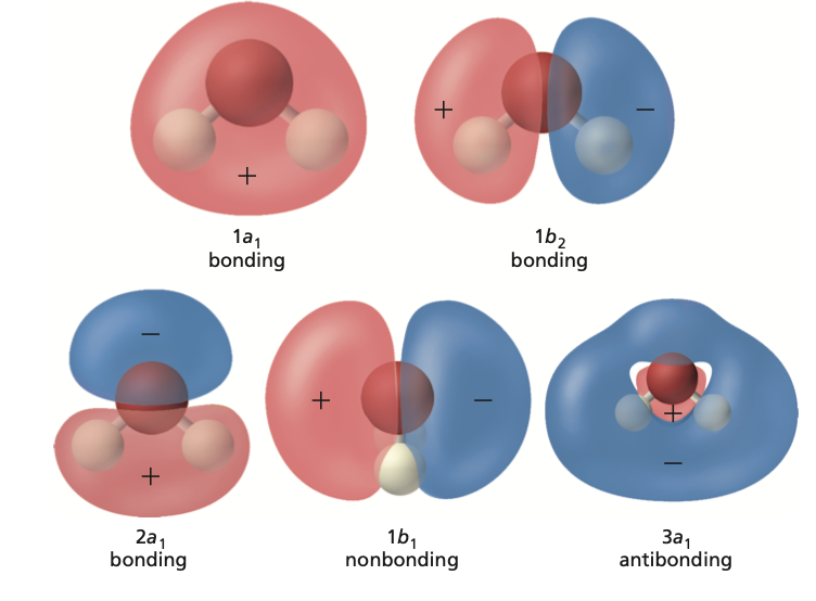 Water bonding orbitals