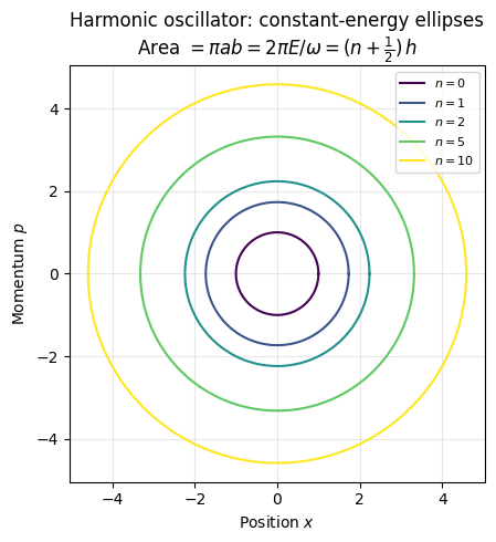 <Figure size 500x500 with 1 Axes>
